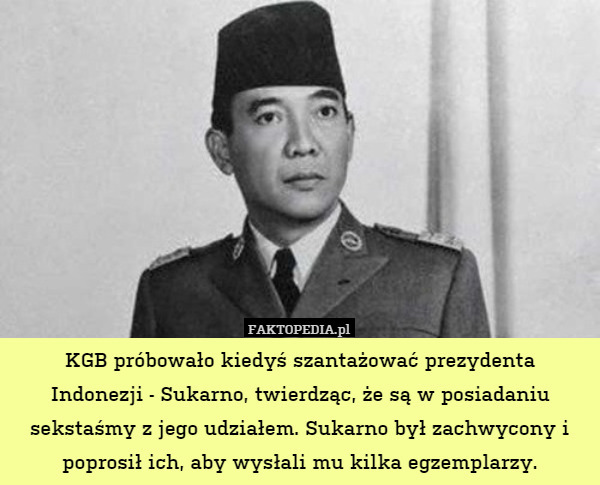 KGB próbowało kiedyś szantażować prezydenta
Indonezji - Sukarno, twierdząc, że są w posiadaniu sekstaśmy z jego udziałem. Sukarno był zachwycony i poprosił ich, aby wysłali mu kilka egzemplarzy. 