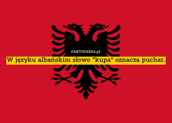 W języku albańskim słowo "kupa" oznacza puchar. 