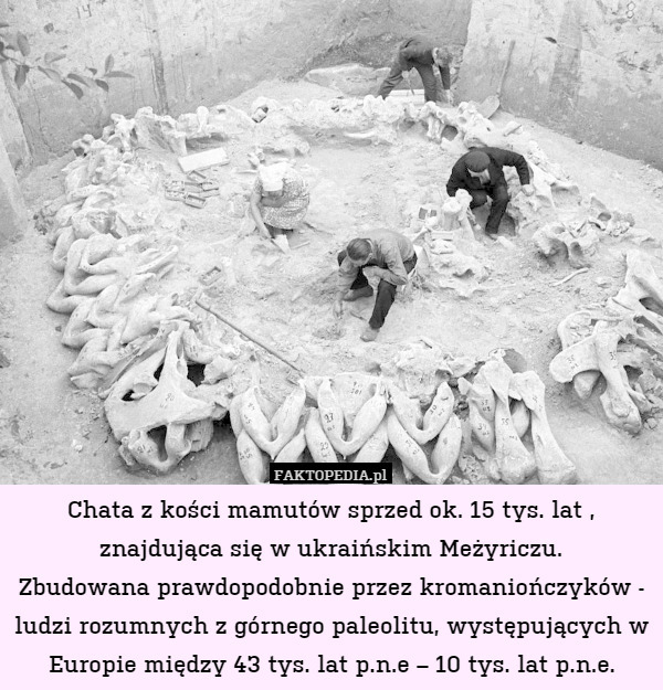 Chata z kości mamutów sprzed ok. 15 tys. lat , znajdująca się w ukraińskim Meżyriczu.
Zbudowana prawdopodobnie przez kromaniończyków - ludzi rozumnych z górnego paleolitu, występujących w Europie między 43 tys. lat p.n.e – 10 tys. lat p.n.e. 