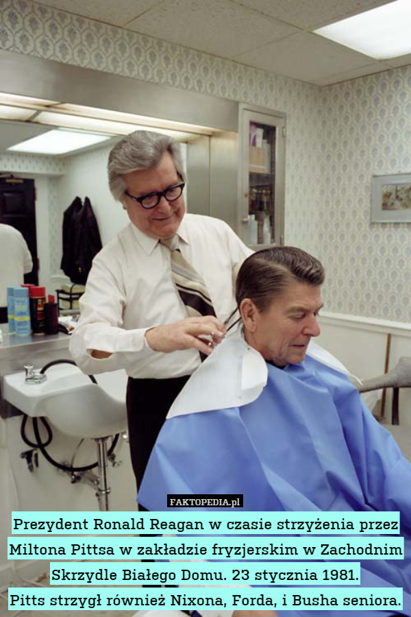 Prezydent Ronald Reagan w czasie strzyżenia przez Miltona Pittsa w zakładzie fryzjerskim w Zachodnim Skrzydle Białego Domu. 23 stycznia 1981.
Pitts strzygł również Nixona, Forda, i Busha seniora. 
