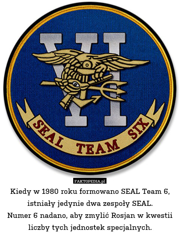 Kiedy w 1980 roku formowano SEAL Team 6, istniały jedynie dwa zespoły SEAL.
Numer 6 nadano, aby zmylić Rosjan w kwestii liczby tych jednostek specjalnych. 