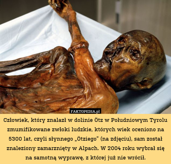 Człowiek, który znalazł w dolinie Ötz w Południowym Tyrolu zmumifikowane zwłoki ludzkie, których wiek oceniono na 5300 lat, czyli słynnego „Ötziego” (na zdjęciu), sam został znaleziony zamarznięty w Alpach. W 2004 roku wybrał się na samotną wyprawę, z której już nie wrócił. 