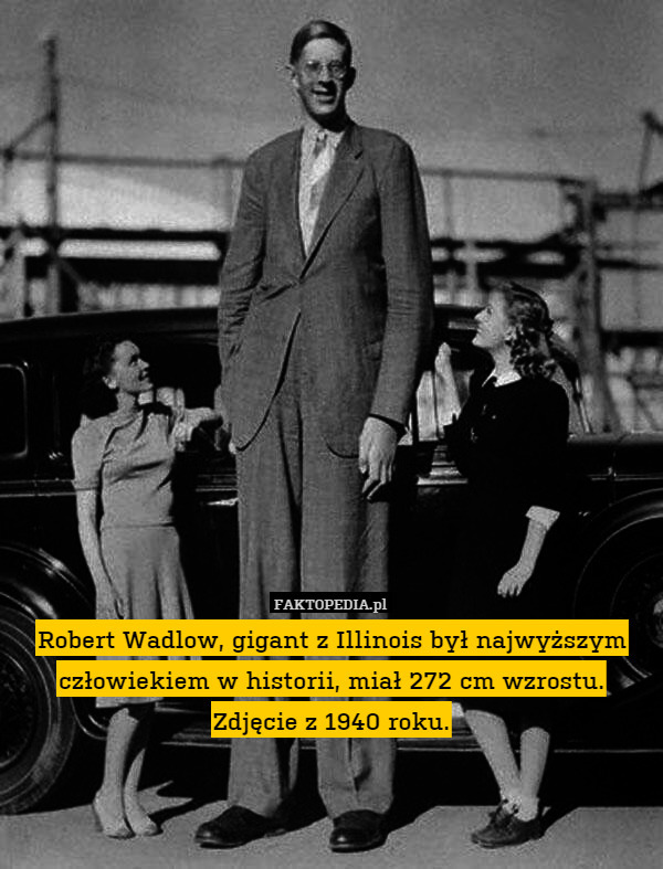 Robert Wadlow, gigant z Illinois był najwyższym człowiekiem w historii, miał 272 cm wzrostu.
Zdjęcie z 1940 roku. 