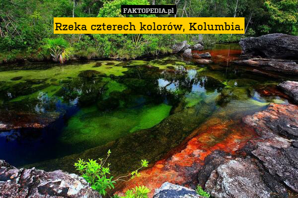 Rzeka czterech kolorów, Kolumbia. 