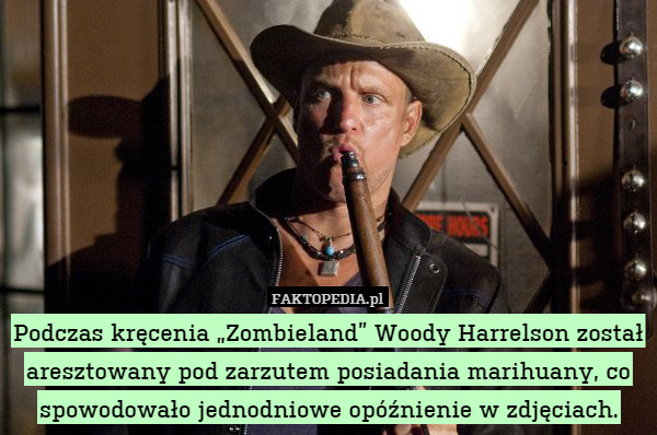 Podczas kręcenia „Zombieland” Woody Harrelson został aresztowany pod zarzutem posiadania marihuany, co spowodowało jednodniowe opóźnienie w zdjęciach. 