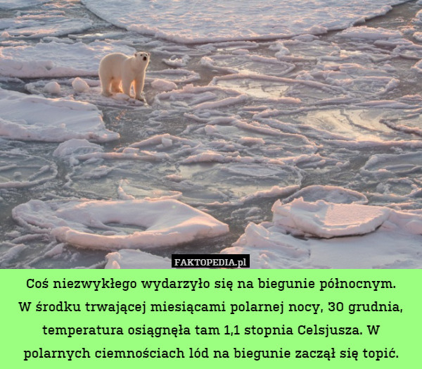 Coś niezwykłego wydarzyło się na biegunie północnym.
W środku trwającej miesiącami polarnej nocy, 30 grudnia, temperatura osiągnęła tam 1,1 stopnia Celsjusza. W polarnych ciemnościach lód na biegunie zaczął się topić. 
