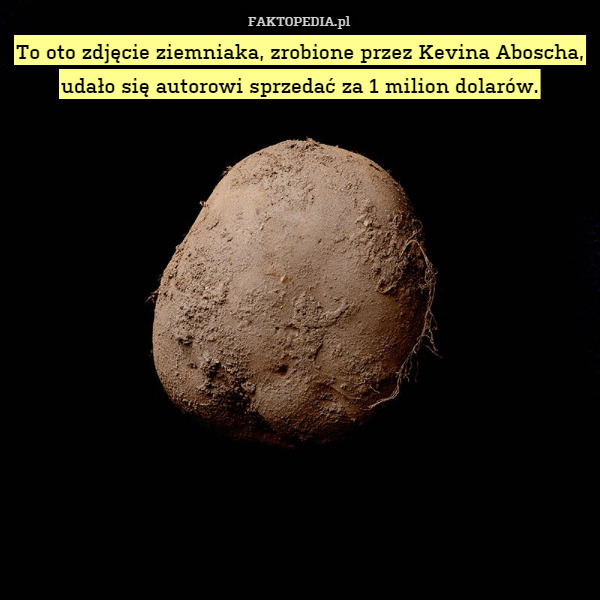 To oto zdjęcie ziemniaka, zrobione przez Kevina Aboscha, udało się autorowi sprzedać za 1 milion dolarów. 