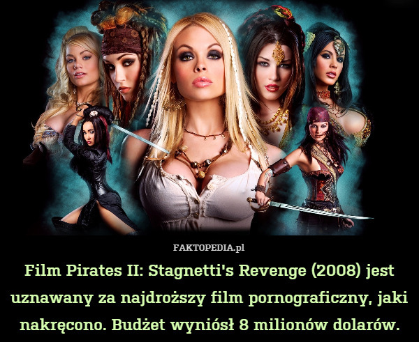 Film Pirates II: Stagnetti's Revenge (2008) jest uznawany za najdroższy film pornograficzny, jaki nakręcono. Budżet wyniósł 8 milionów dolarów. 