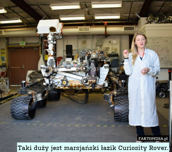 Taki duży jest marsjański łazik Curiosity Rover. 