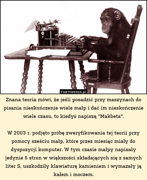 teoria o małpach