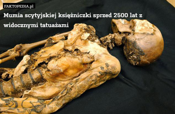 Mumia scytyjskiej księżniczki sprzed 2500 lat z widocznymi tatuażami 