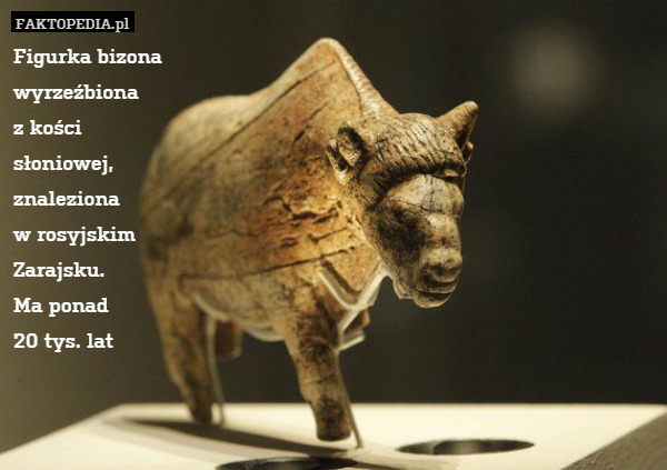 Figurka bizona
 wyrzeźbiona
 z kości 
słoniowej,
 znaleziona 
w rosyjskim
 Zarajsku.
 Ma ponad 
20 tys. lat 