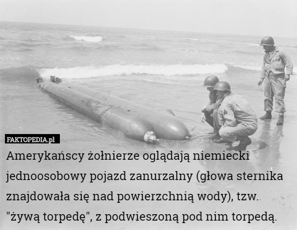 Amerykańscy żołnierze oglądają niemiecki jednoosobowy pojazd zanurzalny (głowa sternika znajdowała się nad powierzchnią wody), tzw.
 "żywą torpedę", z podwieszoną pod nim torpedą. 