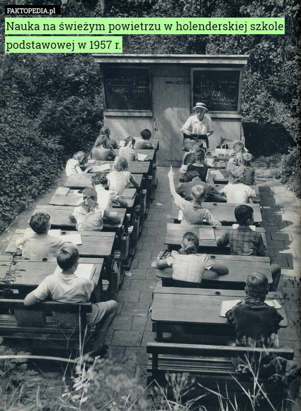 Nauka na świeżym powietrzu w holenderskiej szkole podstawowej w 1957 r. 