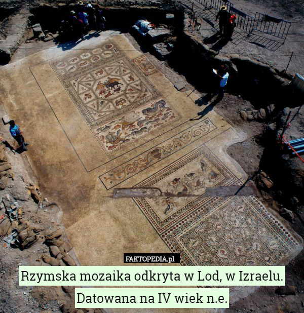 Rzymska mozaika odkryta w Lod, w Izraelu. Datowana na IV wiek n.e. 