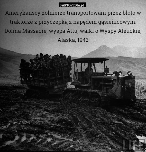 Amerykańscy żołnierze transportowani przez błoto w traktorze z przyczepką z napędem gąsienicowym.
Dolina Massacre, wyspa Attu, walki o Wyspy Aleuckie, Alaska, 1943 