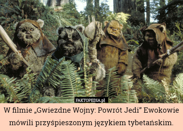 W filmie „Gwiezdne Wojny: Powrót Jedi” Ewokowie mówili przyśpieszonym językiem tybetańskim. 