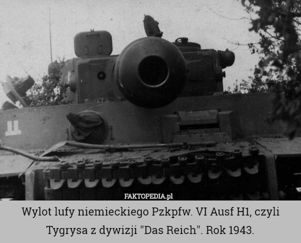 Wylot lufy niemieckiego Pzkpfw. VI Ausf H1, czyli Tygrysa z dywizji "Das Reich". Rok 1943. 