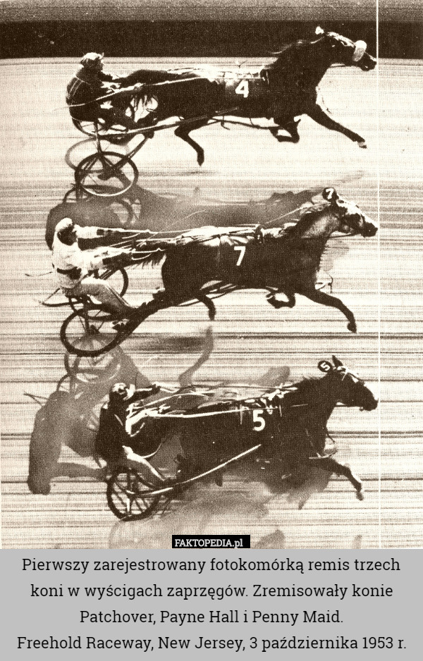Pierwszy zarejestrowany fotokomórką remis trzech koni w wyścigach zaprzęgów. Zremisowały konie Patchover, Payne Hall i Penny Maid.
Freehold Raceway, New Jersey, 3 października 1953 r. 