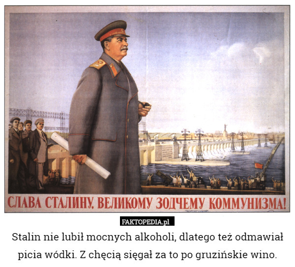 Stalin nie lubił mocnych alkoholi, dlatego też odmawiał picia wódki. Z chęcią sięgał za to po gruzińskie wino. 