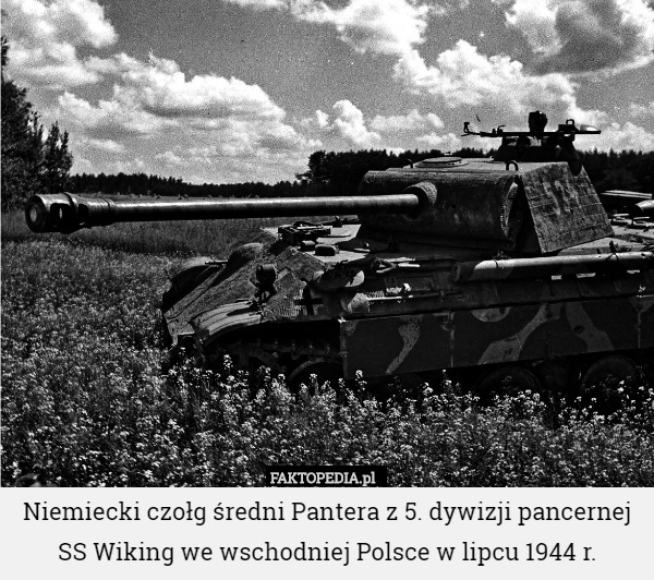 Niemiecki czołg średni Pantera z 5. dywizji pancernej SS Wiking we wschodniej Polsce w lipcu 1944 r. 