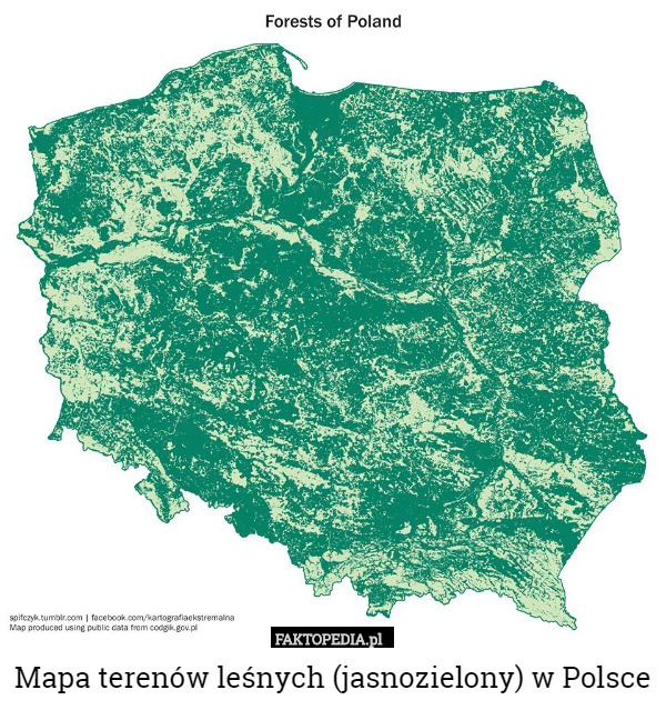 Mapa terenów leśnych (jasnozielony) w Polsce 