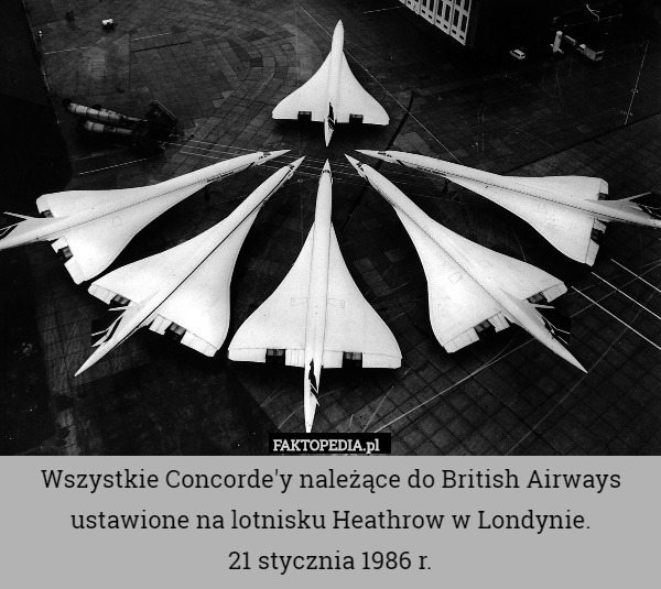 Wszystkie Concorde'y należące do British Airways ustawione na lotnisku Heathrow w Londynie.
21 stycznia 1986 r. 