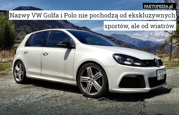 Nazwy VW Golfa i Polo nie pochodzą od ekskluzywnych sportów, ale od wiatrów. 