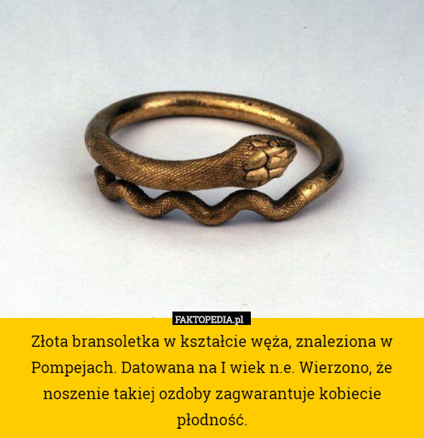 Złota bransoletka w kształcie węża, znaleziona w Pompejach. Datowana na I wiek n.e. Wierzono, że noszenie takiej ozdoby zagwarantuje kobiecie płodność. 