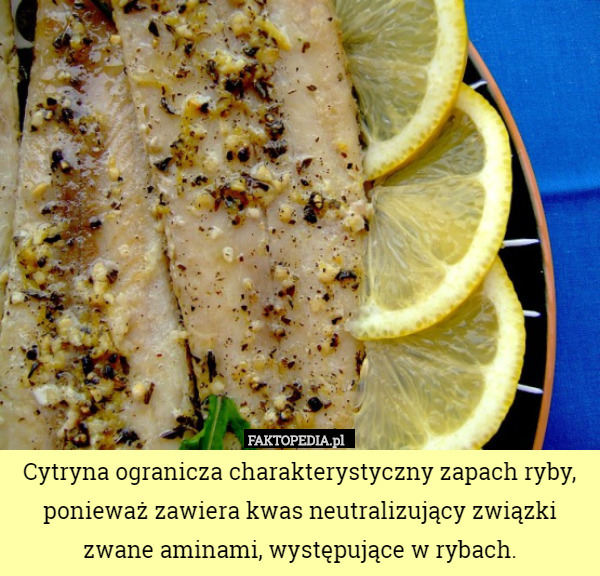 Cytryna ogranicza charakterystyczny zapach ryby, ponieważ zawiera kwas neutralizujący związki zwane aminami, występujące w rybach. 