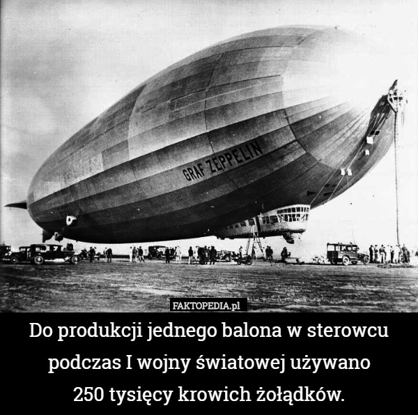 Do produkcji jednego balona w sterowcu podczas I wojny światowej używano
 250 tysięcy krowich żołądków. 