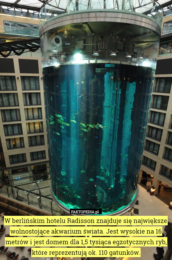 W berlińskim hotelu Radisson znajduje się największe wolnostojące akwarium świata. Jest wysokie na 16 metrów i jest domem dla 1,5 tysiąca egzotycznych ryb, które reprezentują ok. 110 gatunków. 