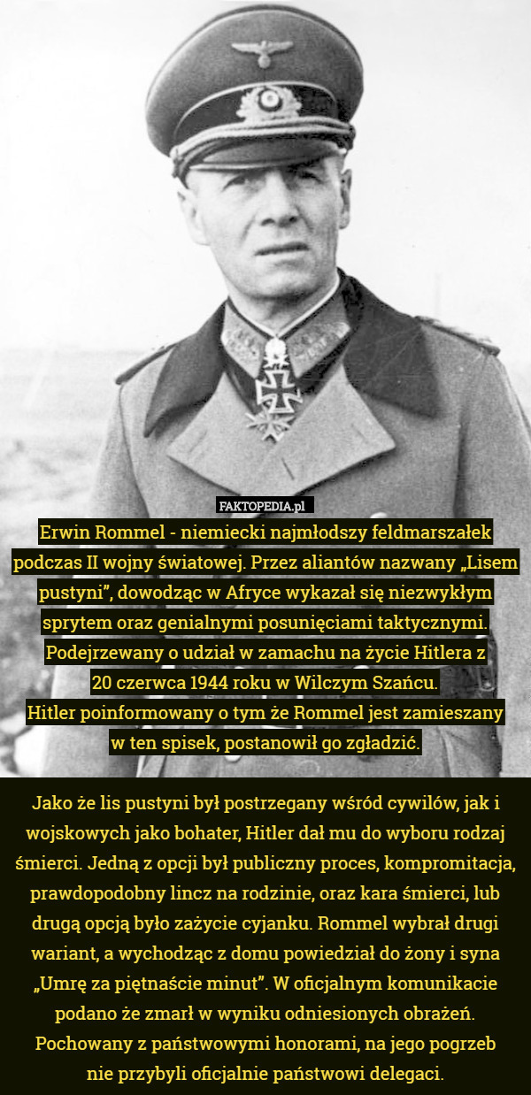 Erwin Rommel - niemiecki najmłodszy feldmarszałek podczas II wojny światowej. Przez aliantów nazwany „Lisem pustyni”, dowodząc w Afryce wykazał się niezwykłym sprytem oraz genialnymi posunięciami taktycznymi. Podejrzewany o udział w zamachu na życie Hitlera z
 20 czerwca 1944 roku w Wilczym Szańcu.
Hitler poinformowany o tym że Rommel jest zamieszany
 w ten spisek, postanowił go zgładzić.

 Jako że lis pustyni był postrzegany wśród cywilów, jak i wojskowych jako bohater, Hitler dał mu do wyboru rodzaj śmierci. Jedną z opcji był publiczny proces, kompromitacja, prawdopodobny lincz na rodzinie, oraz kara śmierci, lub drugą opcją było zażycie cyjanku. Rommel wybrał drugi wariant, a wychodząc z domu powiedział do żony i syna „Umrę za piętnaście minut”. W oficjalnym komunikacie podano że zmarł w wyniku odniesionych obrażeń. Pochowany z państwowymi honorami, na jego pogrzeb
 nie przybyli oficjalnie państwowi delegaci. 