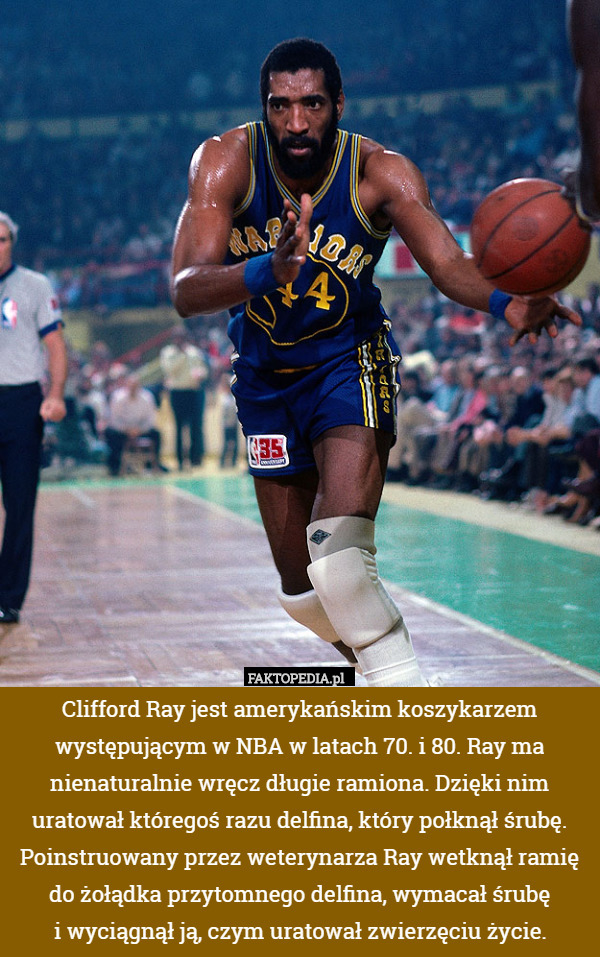 Clifford Ray jest amerykańskim koszykarzem występującym w NBA w latach 70. i 80. Ray ma nienaturalnie wręcz długie ramiona. Dzięki nim uratował któregoś razu delfina, który połknął śrubę. Poinstruowany przez weterynarza Ray wetknął ramię do żołądka przytomnego delfina, wymacał śrubę
i wyciągnął ją, czym uratował zwierzęciu życie. 