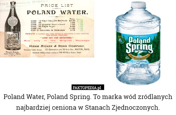 Poland Water, Poland Spring. To marka wód zródlanych najbardziej ceniona w Stanach Zjednoczonych. 