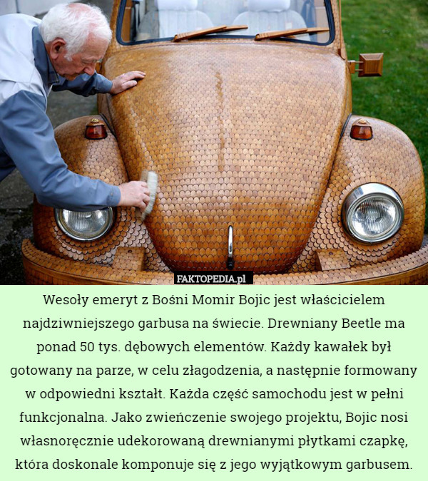 Wesoły emeryt z Bośni Momir Bojic jest właścicielem najdziwniejszego garbusa na świecie. Drewniany Beetle ma ponad 50 tys. dębowych elementów. Każdy kawałek był gotowany na parze, w celu złagodzenia, a następnie formowany w odpowiedni kształt. Każda część samochodu jest w pełni funkcjonalna. Jako zwieńczenie swojego projektu, Bojic nosi własnoręcznie udekorowaną drewnianymi płytkami czapkę, która doskonale komponuje się z jego wyjątkowym garbusem. 
