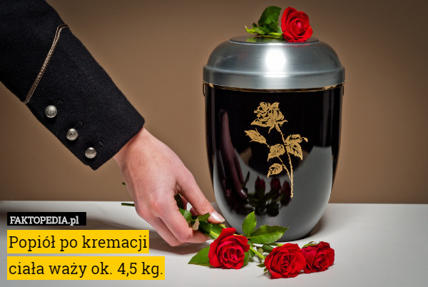 Popiół po kremacji
ciała waży ok. 4,5 kg. 