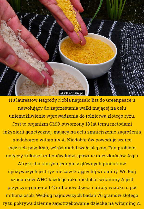 110 laureatów Nagrody Nobla napisało list do Greenpeace'u nawołujący do zaprzestania walki mającej na celu uniemożliwienie wprowadzenia do rolnictwa złotego ryżu.
Jest to organizm GMO, stworzony 18 lat temu metodami inżynierii genetycznej, mający na celu zmniejszenie zagrożenia niedoborem witaminy A. Niedobór ów powoduje szereg ciężkich powikłań, wśród nich trwałą ślepotę. Ten problem dotyczy kilkuset milionów ludzi, głównie mieszkańców Azji i Afryki, dla których jednym z głównych produktów spożywczych jest ryż nie zawierający tej witaminy. Według szacunków WHO każdego roku niedobór witaminy A jest przyczyną śmierci 1-2 milionów dzieci i utraty wzroku u pół miliona osób. Według najnowszych badań 76 gramów złotego ryżu pokrywa dzienne zapotrzebowanie dziecka na witaminę A. 