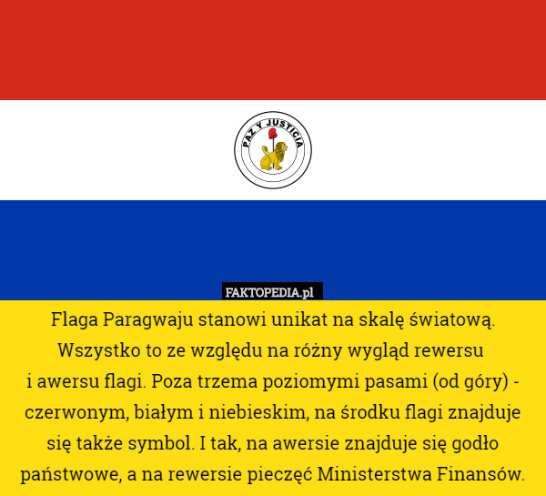 Flaga Paragwaju stanowi unikat na skalę światową. Wszystko to ze względu na różny wygląd rewersu 
i awersu flagi. Poza trzema poziomymi pasami (od góry) - czerwonym, białym i niebieskim, na środku flagi znajduje się także symbol. I tak, na awersie znajduje się godło państwowe, a na rewersie pieczęć Ministerstwa Finansów. 