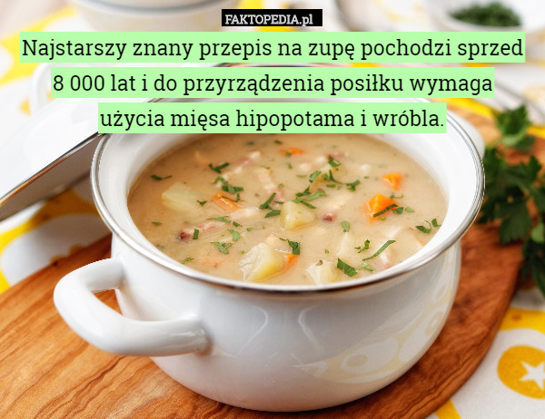 Najstarszy znany przepis na zupę pochodzi sprzed
 8 000 lat i do przyrządzenia posiłku wymaga
 użycia mięsa hipopotama i wróbla. 