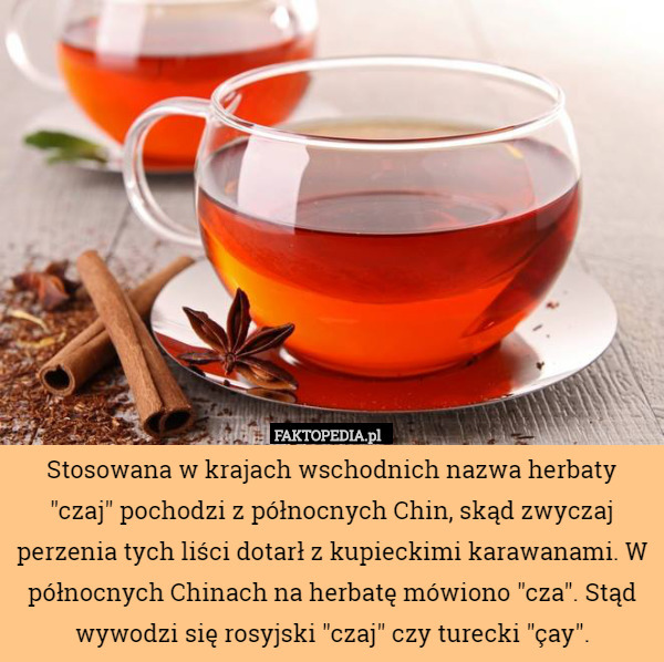 Stosowana w krajach wschodnich nazwa herbaty "czaj" pochodzi z północnych Chin, skąd zwyczaj perzenia tych liści dotarł z kupieckimi karawanami. W północnych Chinach na herbatę mówiono "cza". Stąd wywodzi się rosyjski "czaj" czy turecki "çay". 
