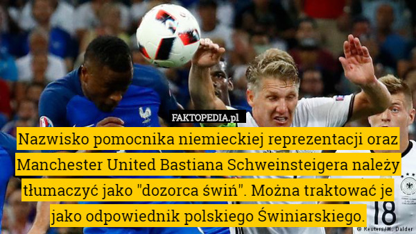 Nazwisko pomocnika niemieckiej reprezentacji oraz Manchester United Bastiana Schweinsteigera należy tłumaczyć jako "dozorca świń". Można traktować je jako odpowiednik polskiego Świniarskiego. 