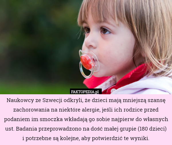 Naukowcy ze Szwecji odkryli, że dzieci mają mniejszą szansę zachorowania na niektóre alergie, jeśli ich rodzice przed podaniem im smoczka wkładają go sobie najpierw do własnych ust. Badania przeprowadzono na dość małej grupie (180 dzieci)
 i potrzebne są kolejne, aby potwierdzić te wyniki. 