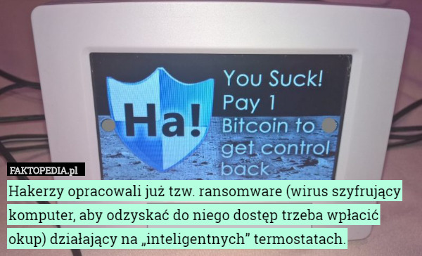 Hakerzy opracowali już tzw. ransomware (wirus szyfrujący komputer, aby odzyskać do niego dostęp trzeba wpłacić okup) działający na „inteligentnych” termostatach. 