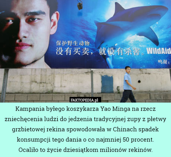 Kampania byłego koszykarza Yao Minga na rzecz zniechęcenia ludzi do jedzenia tradycyjnej zupy z płetwy grzbietowej rekina spowodowała w Chinach spadek konsumpcji tego dania o co najmniej 50 procent.
 Ocaliło to życie dziesiątkom milionów rekinów. 