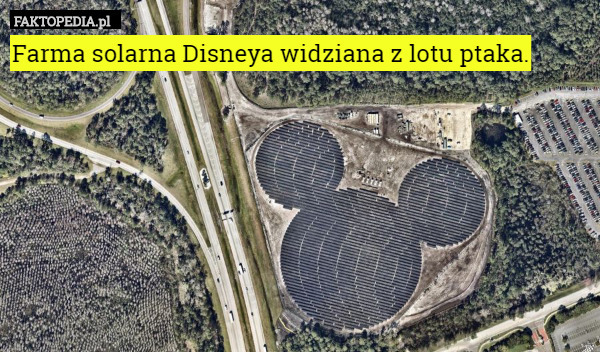 Farma solarna Disneya widziana z lotu ptaka. 