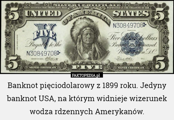 Banknot pięciodolarowy z 1899 roku. Jedyny banknot USA, na którym widnieje wizerunek wodza rdzennych Amerykanów. 