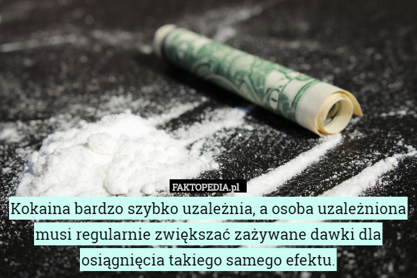 Kokaina bardzo szybko uzależnia, a osoba uzależniona musi regularnie zwiększać zażywane dawki dla osiągnięcia takiego samego efektu. 
