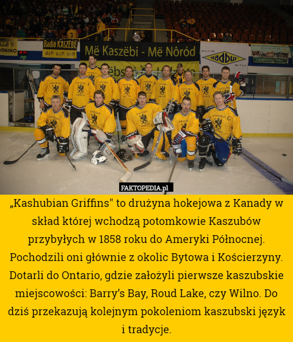 „Kashubian Griffins" to drużyna hokejowa z Kanady w skład której wchodzą potomkowie Kaszubów przybyłych w 1858 roku do Ameryki Północnej. Pochodzili oni głównie z okolic Bytowa i Kościerzyny. Dotarli do Ontario, gdzie założyli pierwsze kaszubskie miejscowości: Barry’s Bay, Roud Lake, czy Wilno. Do dziś przekazują kolejnym pokoleniom kaszubski język i tradycje. 