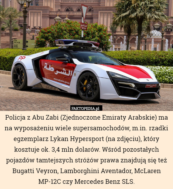Policja z Abu Zabi (Zjednoczone Emiraty Arabskie) ma na wyposażeniu wiele supersamochodów, m.in. rzadki egzemplarz Lykan Hypersport (na zdjęciu), który kosztuje ok. 3,4 mln dolarów. Wśród pozostałych pojazdów tamtejszych stróżów prawa znajdują się też Bugatti Veyron, Lamborghini Aventador, McLaren MP-12C czy Mercedes Benz SLS. 